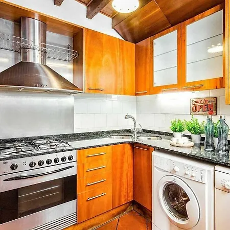 Apartment Paseo De Gracia Sunny 2br Penthouse